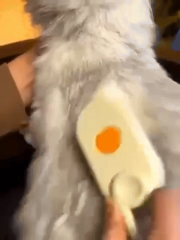 Unboxing Bathless 3-in-1 Pet Spray Comb