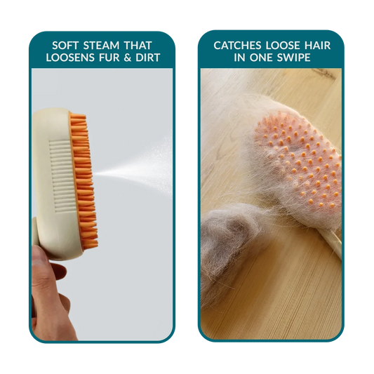 Cat Hair-Free Home Bundle