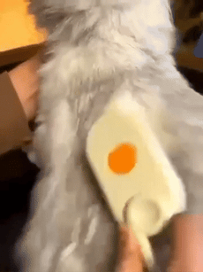 Unboxing Bathless 3-in-1 Pet Spray Comb